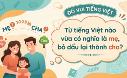 Từ tiếng Việt nào có nghĩa là mẹ, bỏ dấu lại thành cha? Chỉ số ít nghĩ ra đáp án trong 5 giây