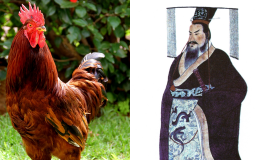 Tần Thủy Hoàng lệnh trong 3 ngày phải tìm được trứng gà trống, cậu bé 7 tuổi nói: 'Quá đơn giản'