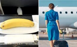 Lý do các tiếp viên hàng không thường mang một quả chuối khi đi bay, hành lý của họ có gì?