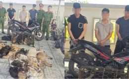 Kiểm tra đột xuất nhà người đàn ông SN 1980, công an tóm gọn nhóm 'siêu trộm chó’, chỉ mất 20 giây/vụ