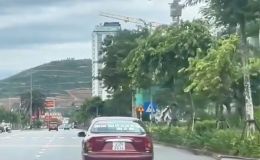 Cái kết cho nam tài xế xe ô tô kéo lê cả mái tôn lẫn khung sắt trên đường phố ở Quảng Ninh