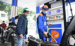 Giá xăng dầu tối 31/10: E10 RON 95 và E5 RON 92 đều đang rẻ, dầu nhỉnh hơn đáy 9.000 đồng/lít, giá đầy bình ô tô Toyota