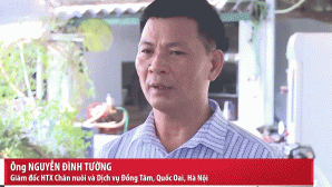 Netizen xôn xao khi Giám đốc HTX Chăn nuôi trong bản tin VTV khẳng định: 100% không có lòng se điếu