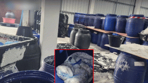 Nóng: Cảnh sát đột kích, thu giữ 41 tấn lòng heo bốc mùi hôi thối và tạm giữ chủ kho hàng