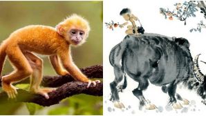 Từ ngày 10/5, 4 con giáp sau đây nên bình tĩnh, thận trọng tránh những rủi ro không đáng có