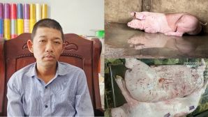 Tin nóng vụ Công ty C.P bị tố bán heo bệnh, người tố cáo tiết lộ còn bí mật sốc chưa công bố