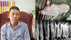 Ông Liễu Quý Ngân nhận tin vui lớn từ cơ quan chức năng, vụ C.P. bị tố bán heo bệnh có diễn biến nóng