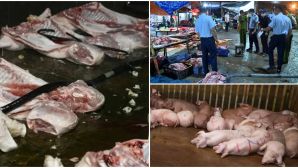 Mua lợn bệnh chết giá 20.000 đồng, bán giá cao gấp nhiều lần, lời khai kinh hoàng của các đối tượng giết mổ