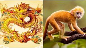 Từ ngày 15/7, 3 con giáp sau đây sẽ gặp vận may lớn, tiền đổ về đem lại sự giàu có, sung túc
