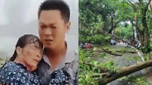 Danh tính người đàn ông lao vào mưa dông cứu một phụ nữ bị cây đè, câu nói sau đó khiến ai cũng bất ngờ 