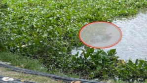 NÓNG: Đang vớt thi thể cô gái nhảy cầu, lực lượng chức năng sốc nặng khi phát hiện thêm 1 thi thể nam giới
