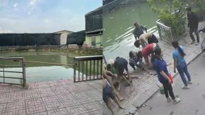 Người dân xót xa kể lại giây phút phát hiện hai anh em ruột đuối nước ở Hà Nội: Bi kịch khiến cả khu phố day dứt
