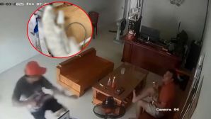 Hải Phòng: Đang ngồi trong nhà, người đàn ông bị kẻ lạ chém lìa tay, camera ghi lại toàn bộ diễn biến sốc
