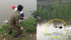 Đi cắt cỏ, người dân hoảng hốt khi thấy 2 thi thể phân hủy dưới mương nước ở Nghệ An