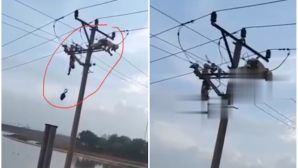 Xót xa 2 nam công nhân bị điện giật lúc đang làm việc ở Hà Nội: 1 tử vong, 1 đang rất nguy kịch
