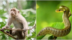 Vào ngày 15/9, 4 con giáp sau đây sẽ có tài lộc dồi dào, cơ hội liên tục, sự nghiệp thăng tiến từng bước