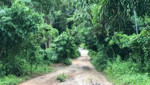 Nhân thân bất hảo của đối tượng nghi dùng dao sát hại mẹ ruột, chém trọng thương chị gái ở TP.HCM