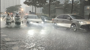 Tin mới nhất về bão số 10: Tốc độ trung bình 30 km/giờ, gây mưa lớn diện rộng ở Bắc Bộ và Trung Bộ