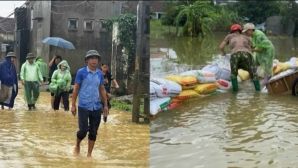 Hà Nội phát lệnh khẩn báo động lũ trên nhiều sông: Người dân chủ động bảo đảm an toàn tính mạng, tài sản