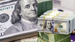 Tỷ giá USD hôm nay 11/10: Thị trường hạ nhiệt, USD bất ngờ chững lại sau chuỗi tăng dài