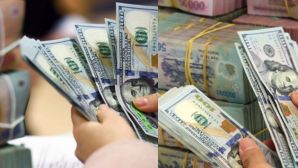 Tỷ giá USD hôm nay 15/10: Diễn biến bất ngờ giữa thị trường tự do và ngân hàng
