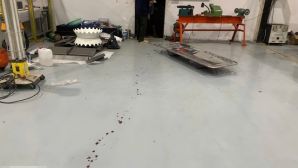 Hiện trường ớn lạnh vụ nam bảo vệ hốt hoảng chạy vào công ty rồi tử vong, vết máu dài hơn 10m