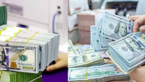 Tỷ giá USD hôm nay 21/10: Diễn biến trái chiều giữa thị trường trong nước và trên thế giới 