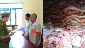 Phát hiện gần 38 tấn thịt lợn nhiễm dịch tả sắp bán ra thị trường: Bắt giữ chủ cơ sở tại Phú Thọ, xử lý ra sao?