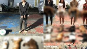 Triệt phá lò mổ chó từ các đối tượng đi trộm: Công an thu giữ được gì đáng chú ý tại hiện trường?