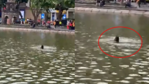 Hoàn cảnh cô gái đuối nước tử vong ở hồ Hoàn Kiếm: Người thân lên tiếng, tiết lộ tình trạng tâm lý trước đó