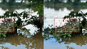 Vụ phát hiện thi thể cô gái 17 tuổi mắc trên cành cây: Xé lòng khi biết nguyên nhân tử vong