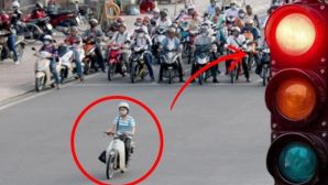 Danh sách hơn 50 trường hợp vượt đèn đỏ, chủ biển số nhanh chóng nộp phạt nguội theo Nghị định 168