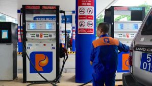 Giá xăng dầu hôm nay 7/11: Xăng dầu trong nước ổn định, thế giới tiếp đà tăng