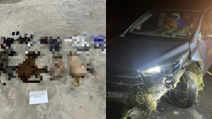 TPHCM: Bức xúc nhóm trộm chó bỏ ô tô để thoát thân, công an tiết lộ một tang chứng bất ngờ