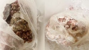 Công an vào cuộc vụ phụ huynh Hà Nội phát hiện thực phẩm nghi ôi thiu ở bếp ăn trường học: Hệ thống cung ứng bất thường