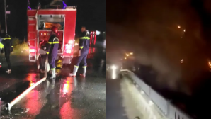 Hiện trường vụ cháy đường dây điện trung thế ở Đồng Tháp: Khói bốc nghi ngút khiến người dân hoảng sợ