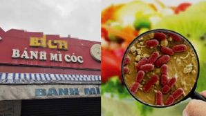 Diễn biến mới nhất vụ ngộ độc sau khi ăn bánh mì, hé lộ nguyên nhân đằng sau