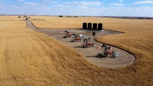 Cập nhật giá xăng dầu hôm nay 14/11: Tiếp tục tăng do ảnh hưởng của cuộc tấn công Ukraine vào kho dầu của Nga