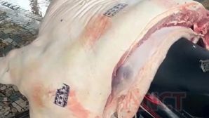 Danh tính 3 cán bộ bị khởi tố, bắt tạm giam vì đóng dấu kiểm dịch thịt heo nhiễm dịch tả châu Phi 