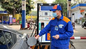 Giá xăng dầu hôm nay 28/11: Thế giới nhích nhẹ, trong nước đồng loạt giảm