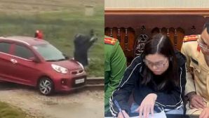 Vụ tàu hỏa dừng khẩn cấp để tránh ô tô: Vì sao nữ tài xế chưa phải bồi thường?