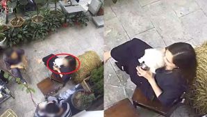 Cho chó uống cốc của quán cà phê, khách xưng 'mày, tao' khi bị nhắc nhở, chủ quán xử lý không ngờ! 