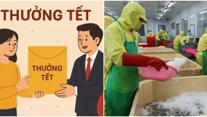 Cà Mau: Tiết lộ mức thưởng Tết 2026 cao nhất người lao động có thể nhận được