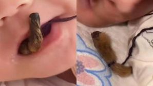 Phẫn nộ cảnh người mẹ cho trẻ sơ sinh ngậm ‘tay khỉ khô’ đầy lông để ngừa bệnh