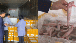 Vụ 10 tấn cá khoai chứa chất bảo quản cực độc: Hóa chất ướp cá độc mức nào, dấu hiệu nhận biết