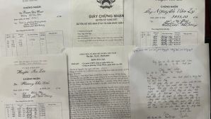 Người phụ nữ Hải Phòng mượn sổ đỏ người quen, lập khống giấy mua bán để vay tiền tỷ: Bóc trần toàn bộ thủ đoạn tinh vi