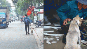 Xót xa về hoàn cảnh người đàn ông dắt chú chó đi bộ xin việc ở TP.HCM: Vợ bỏ đi khi con mới 4 tuổi
