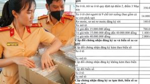 Tin vui: Có thể giảm lệ phí cấp biển số xe đến 30% tại hai đô thị lớn Hà Nội và TP.HCM