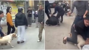 Xôn xao clip nam thanh niên xua chó vào cắn người dữ dội trong cuộc ẩu đả giữa 2 người đàn ông ở Hà Nội