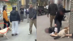 Vụ xua chó vào cắn người trong lúc ẩu đả, chủ nuôi có thể đối mặt những mức án nào?